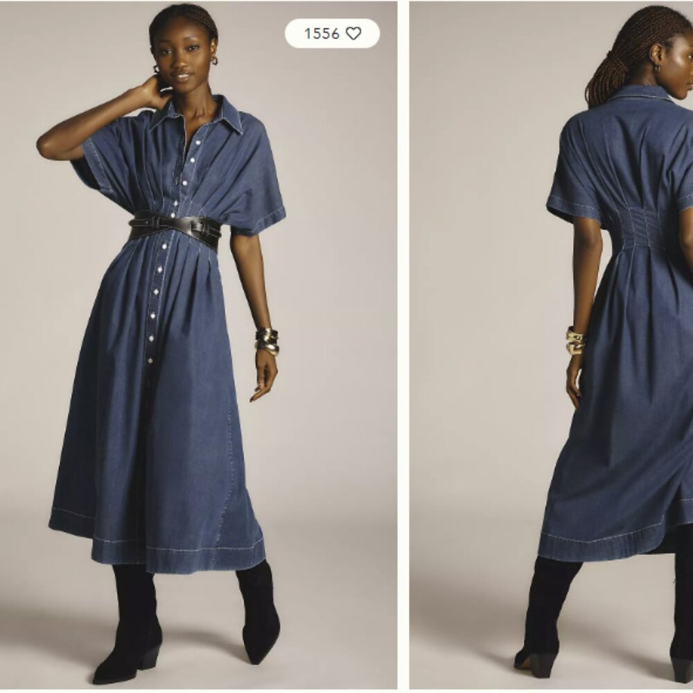 Anthropologie Tobie Button-Front Pleated Shirt Dress by Exquise: Denim Edition